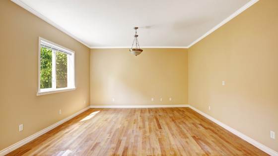 Found a vacant home on the market? Here's what you need to know if you come across one of these properties.